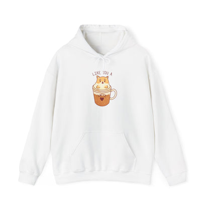 Like You a Latte Hooded Sweatshirt